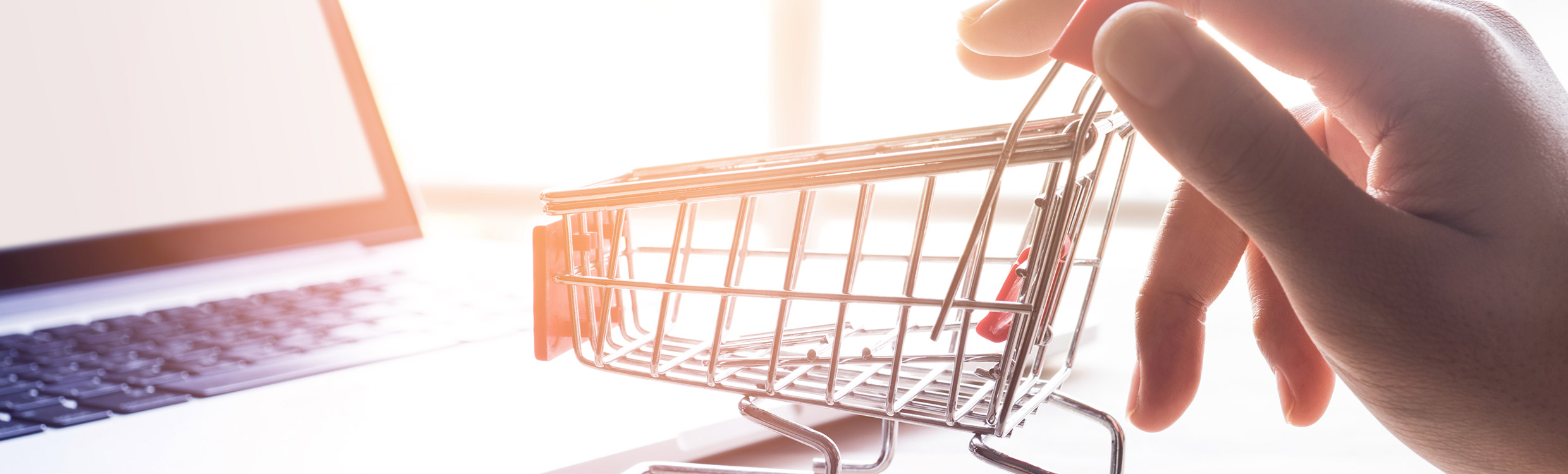 E-Shop_2480x750
